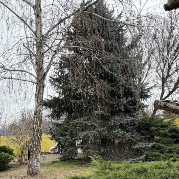 Продается Дом, 50 м²