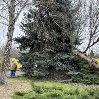 Продается Дом, 50 м²