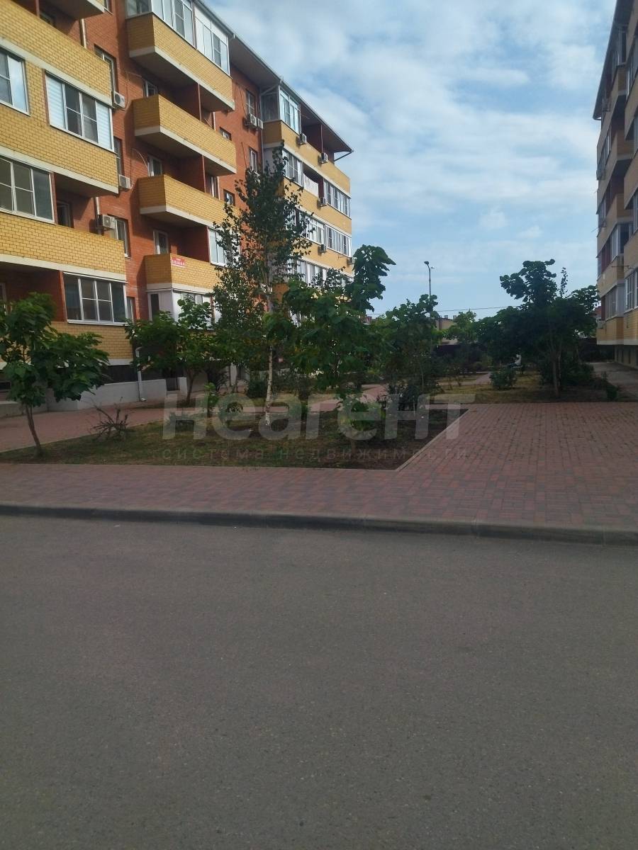 Фотография №11