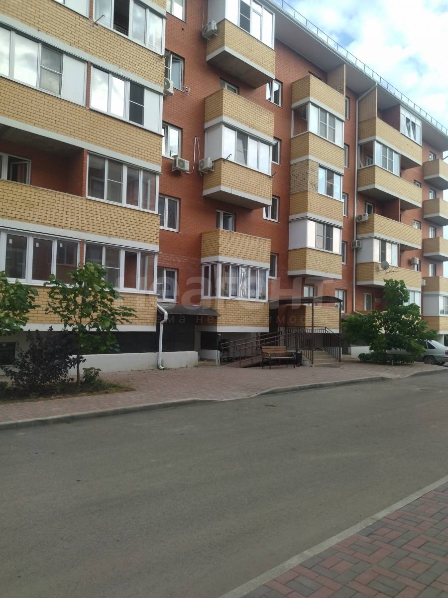 Фотография №6