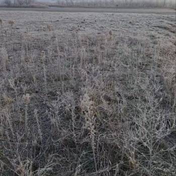 Продается Участок, 1000 м²