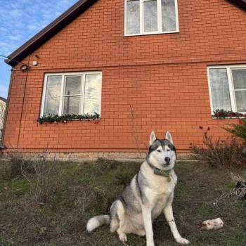 Продается Дом, 73 м²