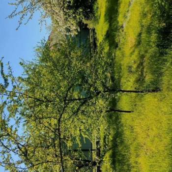 Продается Участок, 410 м²