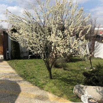 Сдается Дом, 530 м²