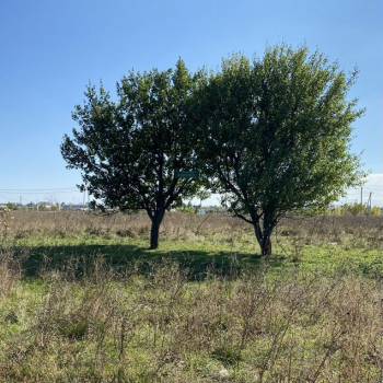 Продается Участок, 1000 м²