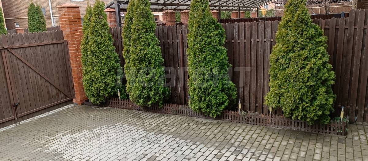 Фотография №27