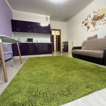 Сдается 1-комнатная квартира, 24,9 м²