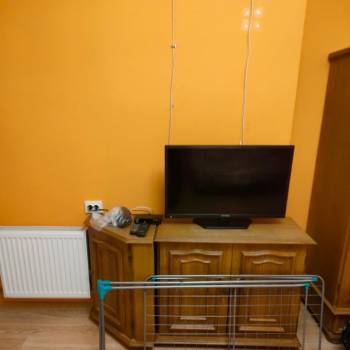 Сдается 1-комнатная квартира, 24 м²