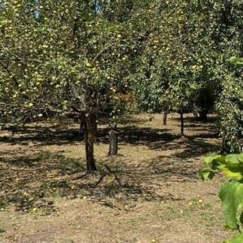 Продается Участок, 1200 м²