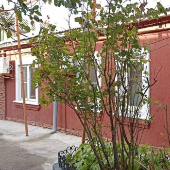 Продается Дом, 65 м²