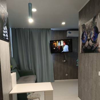 Сдается 1-комнатная квартира, 21,3 м²