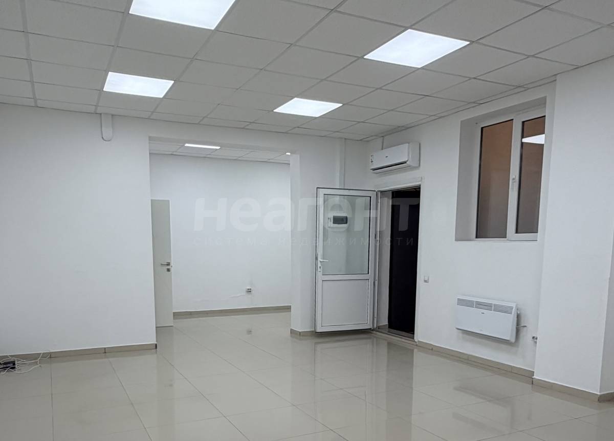 Фотография №3