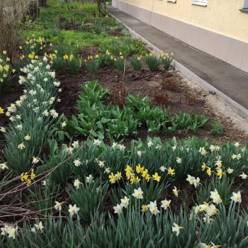 Продается 3-х комнатная квартира, 77,5 м²