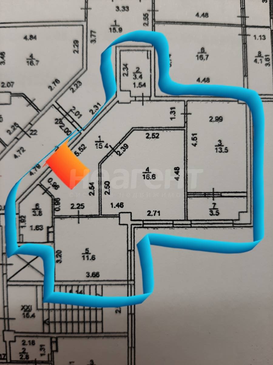 Фотография №11