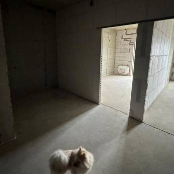 Продается 1-комнатная квартира, 47 м²