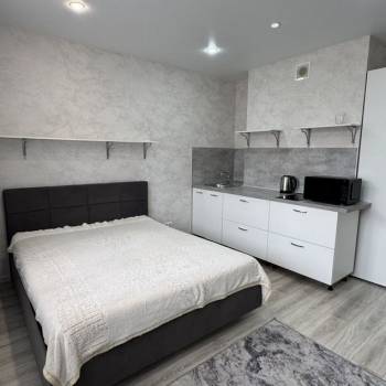 Сдается 1-комнатная квартира, 29,5 м²