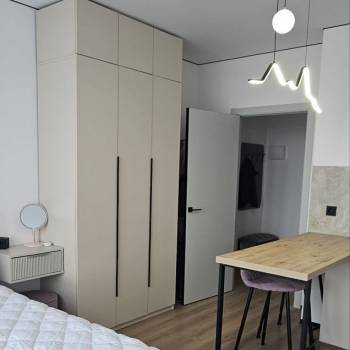Сдается 1-комнатная квартира, 26,2 м²