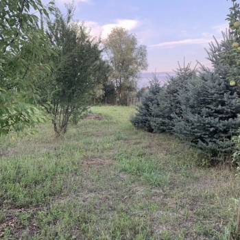 Продается Участок, 1000 м²