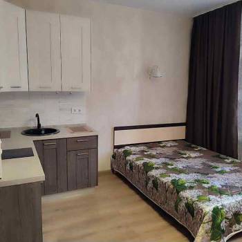 Сдается 1-комнатная квартира, 29,9 м²
