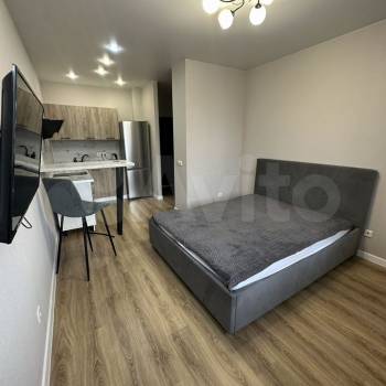 Сдается 1-комнатная квартира, 23,4 м²
