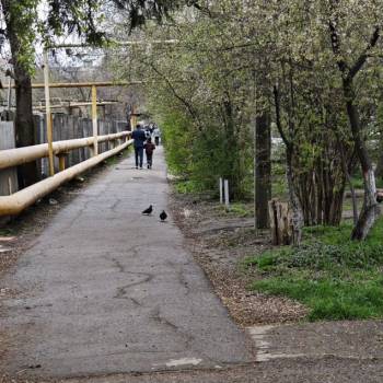 Сдается Торговое помещение, 54 м²