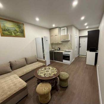 Сдается 1-комнатная квартира, 22,7 м²