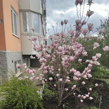 Продается 3-х комнатная квартира, 81,3 м²