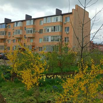 Продается 1-комнатная квартира, 26 м²