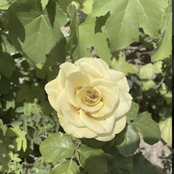 Продается Дом, 24 м²