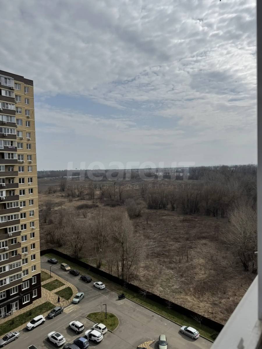 Фотография №13