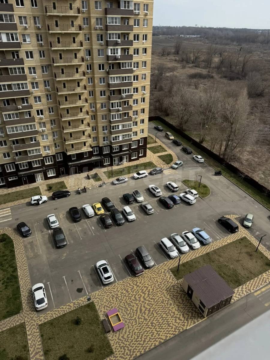 Фотография №8