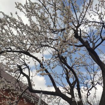 Продается Дом, 108 м²