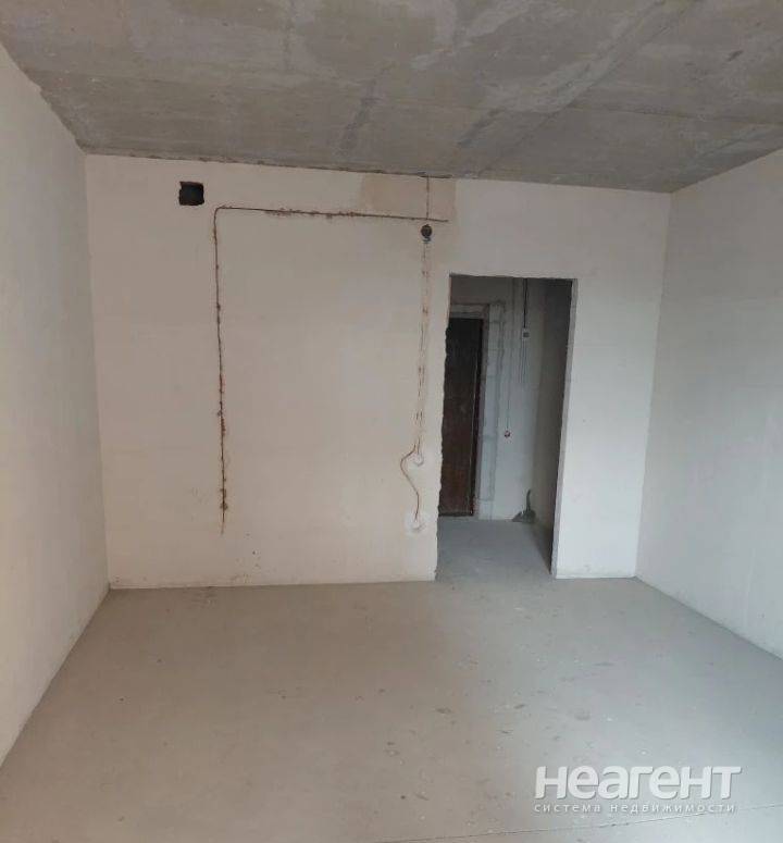 Фотография №2