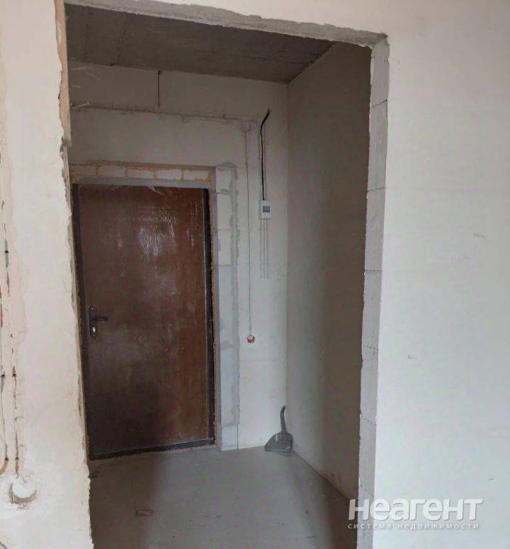 Фотография №3