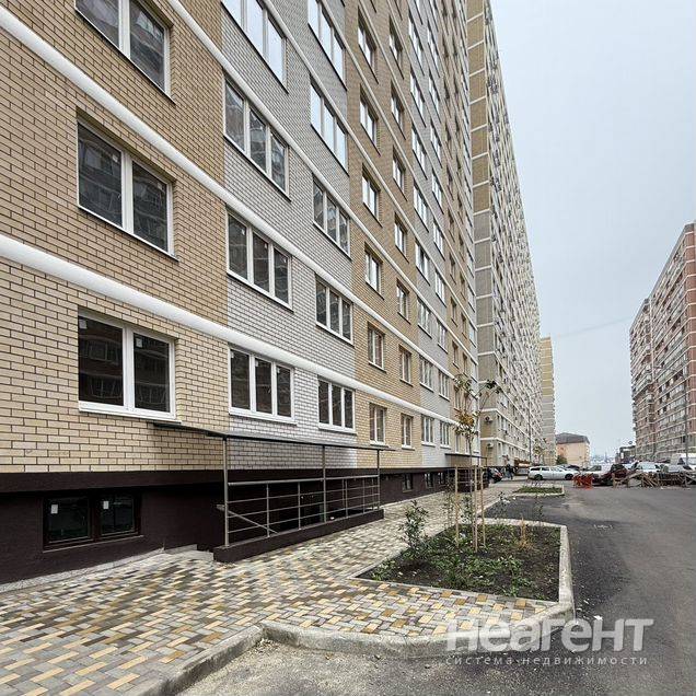 Фотография №2