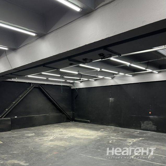 Фотография №2