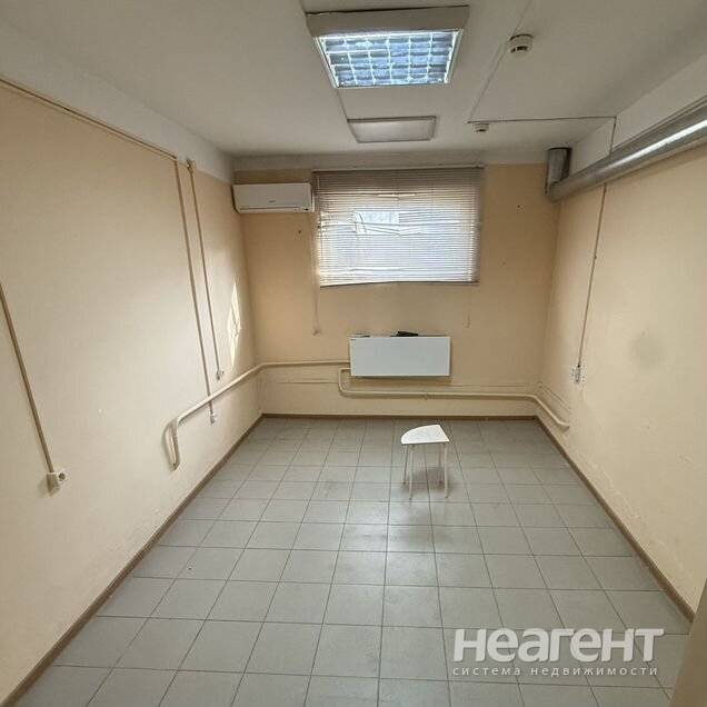 Фотография №3