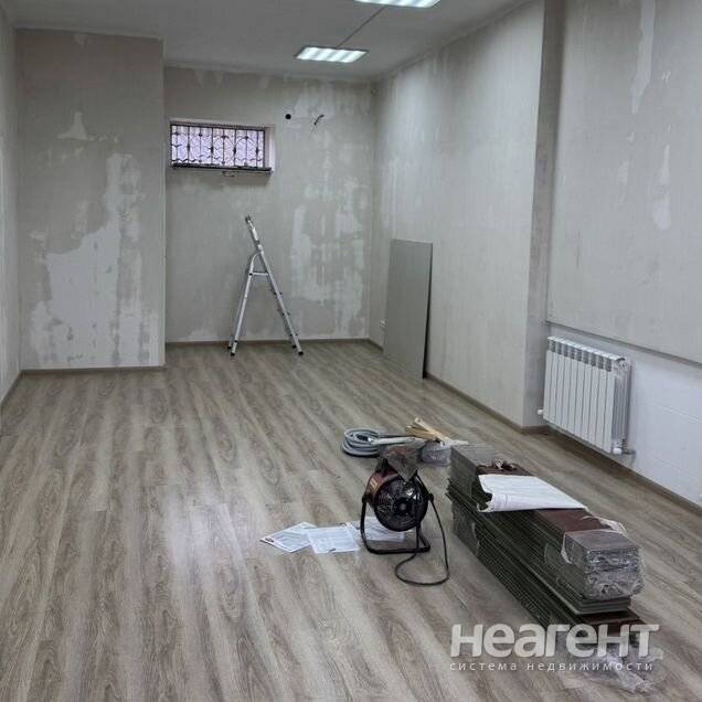 Фотография №3