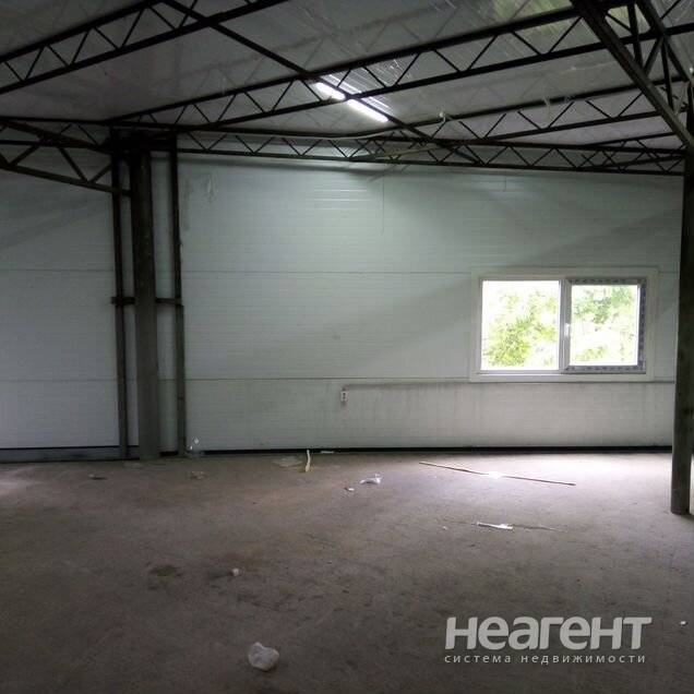 Фотография №2