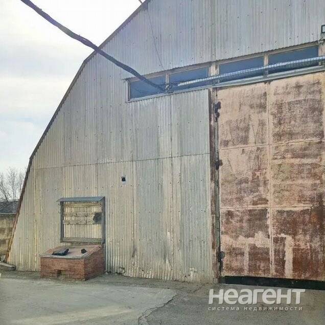 Фотография №3