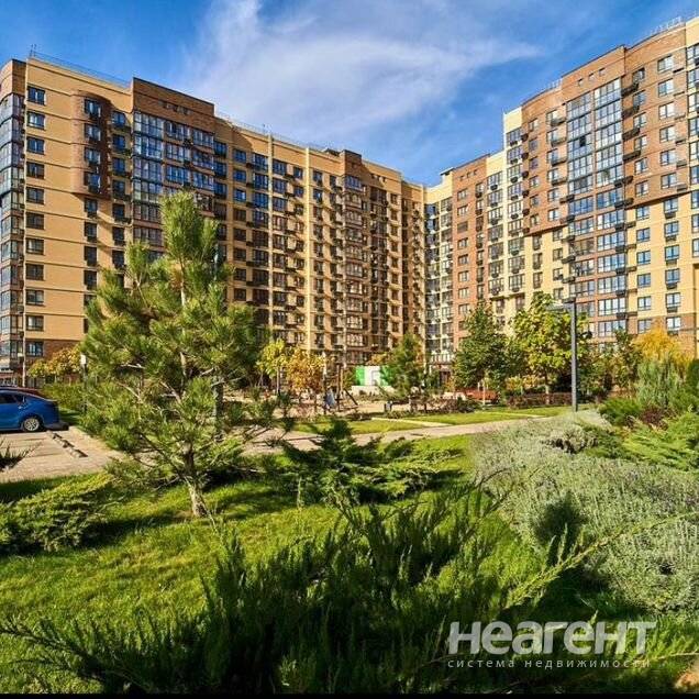 Фотография №2