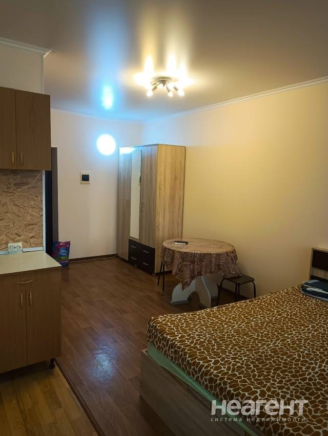 Фотография №3