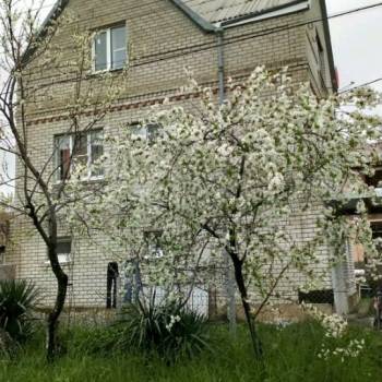 Продается Дом, 205 м²