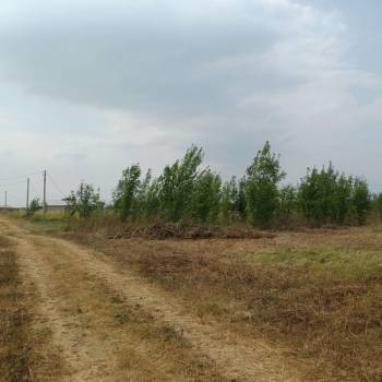 Продается Участок, 1000 м²
