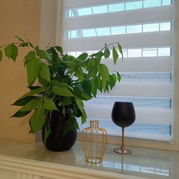 Сдается Офис, 20 м²