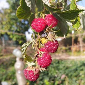 Продается Дом, 18 м²