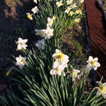 Продается Дом, 18 м²