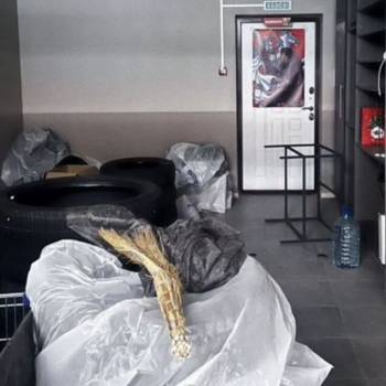 Сдается Нежилое помещение, 30 м²