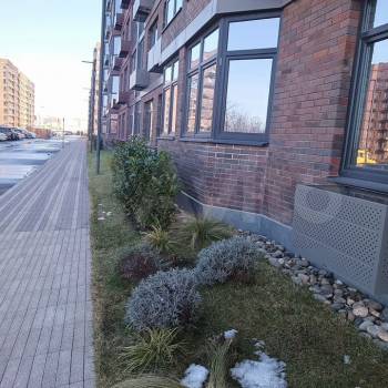 Сдается 1-комнатная квартира, 29,2 м²