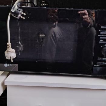 Сдается 1-комнатная квартира, 21 м²